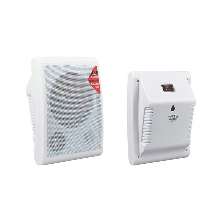 Indoor Wall Mount Speakers