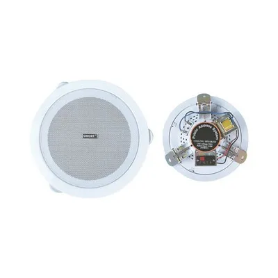 Pa System Ceiling hátalarar